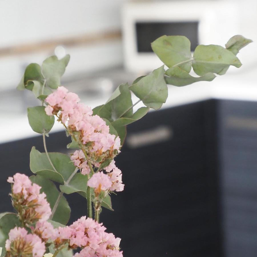 Sunny In The Historic Centre- Private Parking Apartament