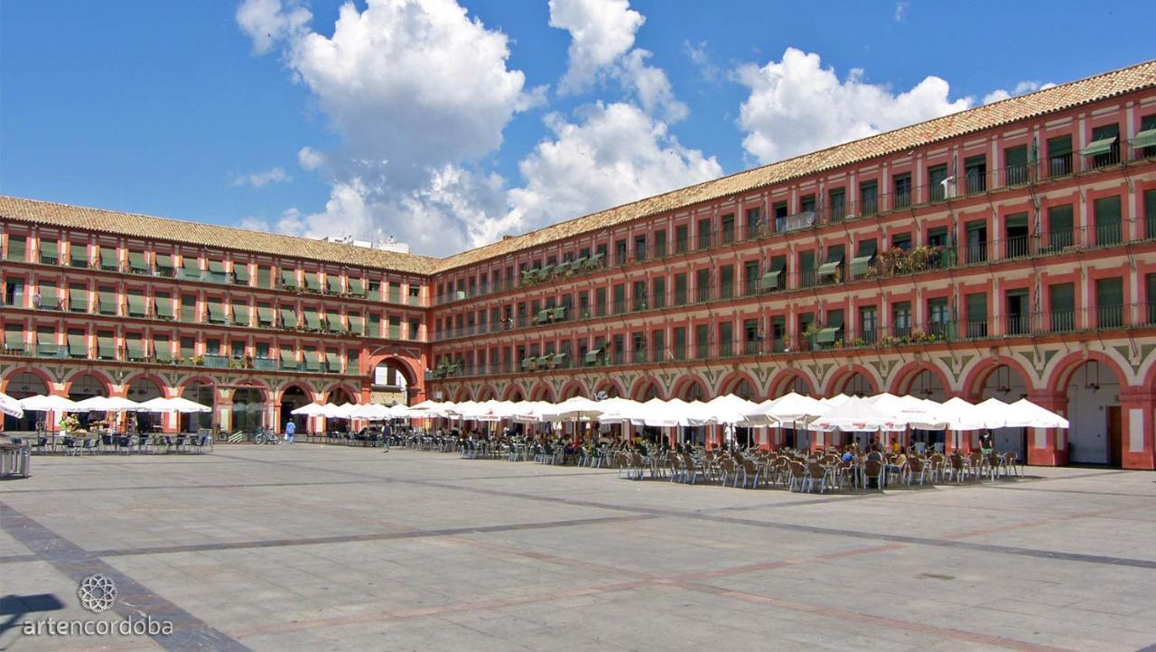 Apartament Sunny In The Historic Centre- Private Parking